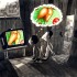 Salo de Humor Prmio Internet 2012 Cartum